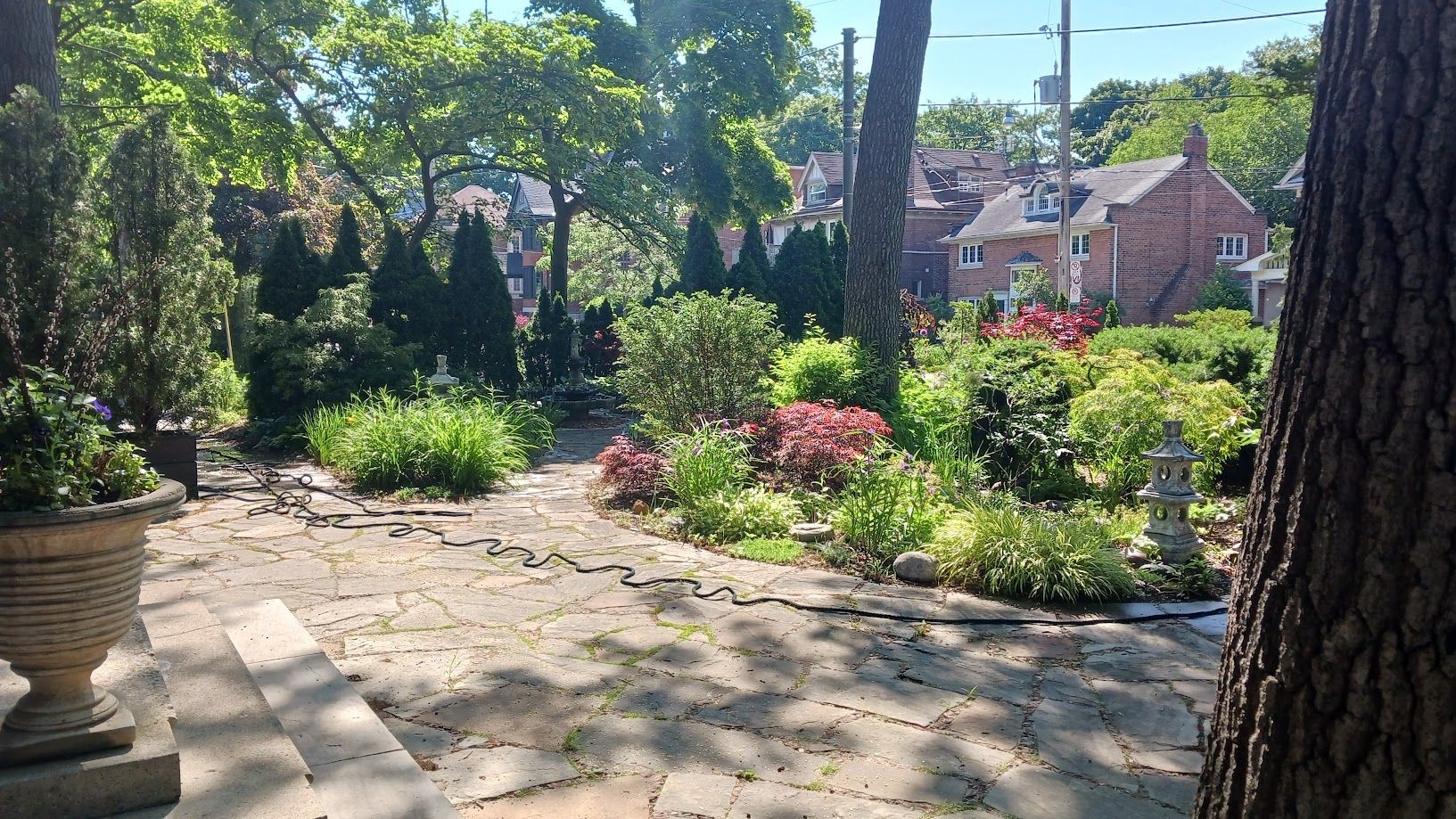 Lawn Maintenance